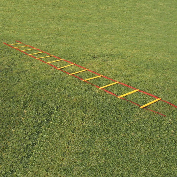 Barret - Skip ladder with rungs 6m
