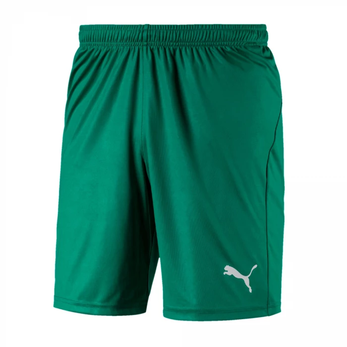 Puma - Pantaloncino Liga Core Verde