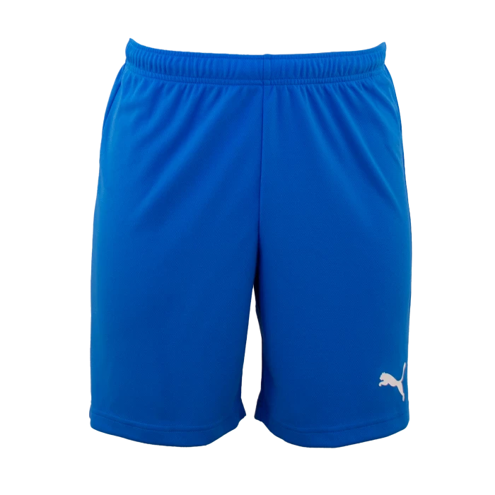 Puma - Short TeamRISE Royal