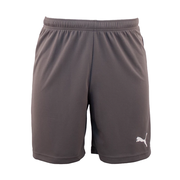 Puma - Pantaloncino TeamRISE Grigio