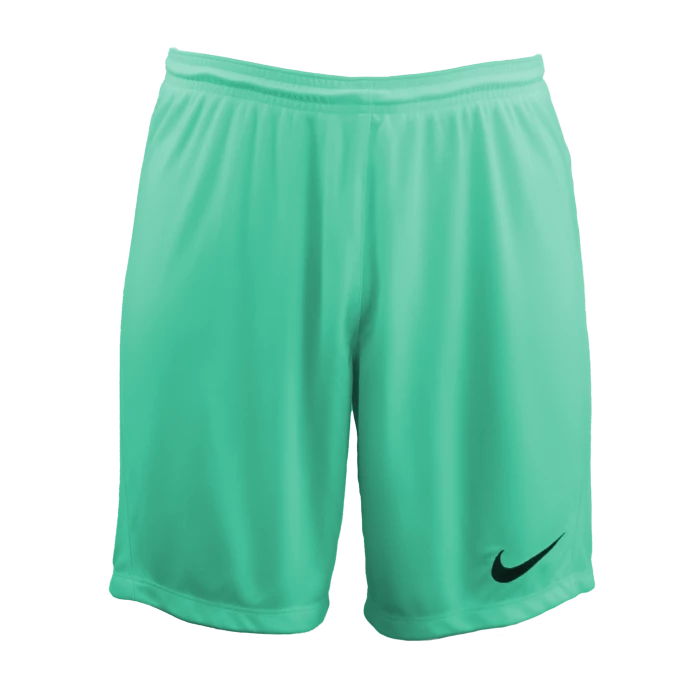 Nike - Short Park III Turq green