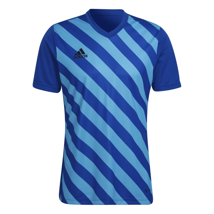 adidas - Entrada 22 Graphic Sky Blue Royal Jersey