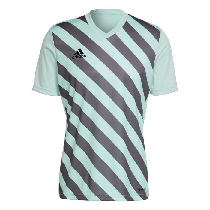 adidas - Entrada 22 Graphic Jersey Mint Green Grey